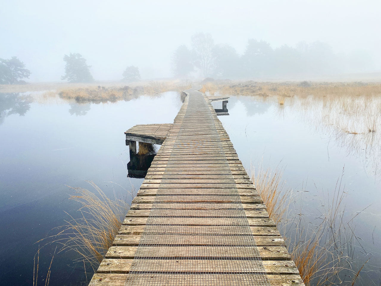 Bohlensteg im Het Buurserzand